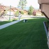 Beautiful Summer Landscaping